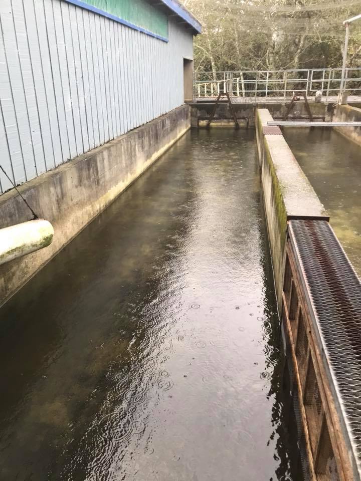 Rowdy Creek Fish Passage Improvement Project Completed Feasibility Study